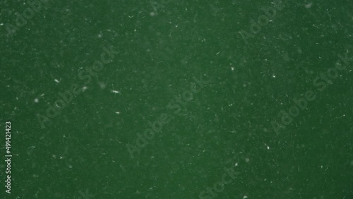 Video of dust underwater with glares on green background