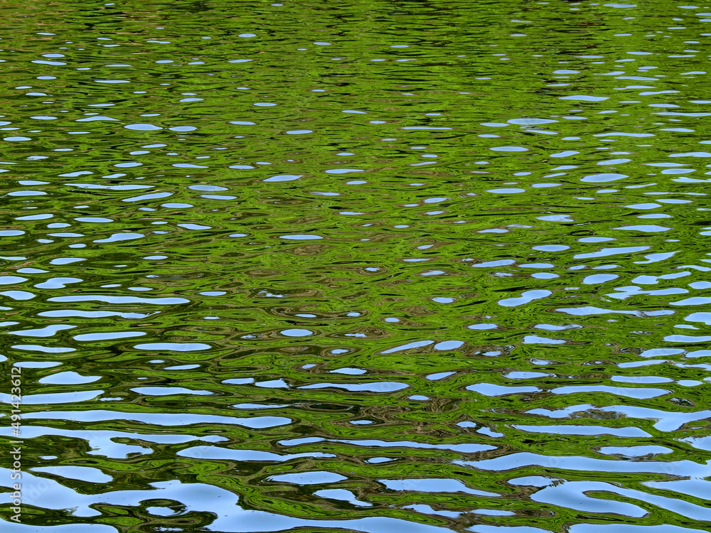 Beautiful water reflection in nature Beautiful water reflection in nature