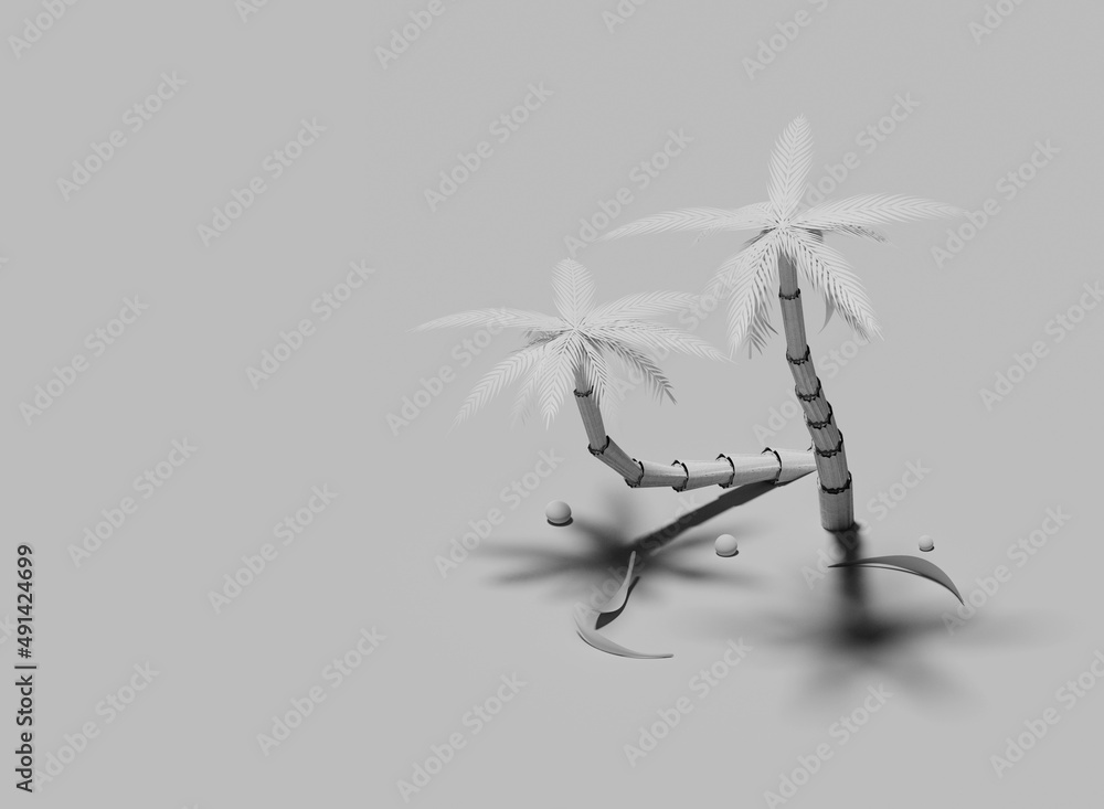 Two white palm trees isolated on white background. 3d render