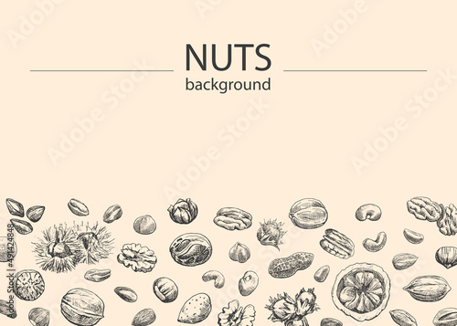 Nuts mix Vector background Hand drawn elements. Sketch almond, brazil nut, nutmeg, macadamia, cashew, pecan, peanut, pistachio, chestnut. Illustration for design