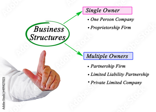 Woman Presenting Five Business Structures
