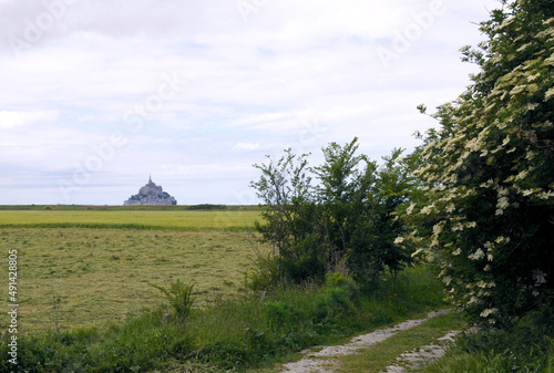 Weide vor Insel Mont-Saint-Michel © Monika Wiedemann
