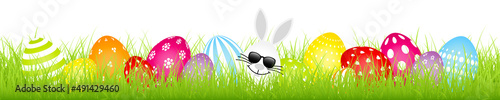 Banner Weißes Hasenei Sonnenbrille Mit Bunten Ostereiern Weißes Muster Wiese