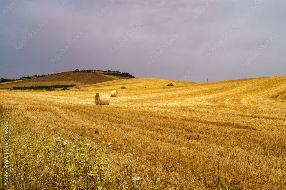 Country landscape near Matera and Gravina di Puglia