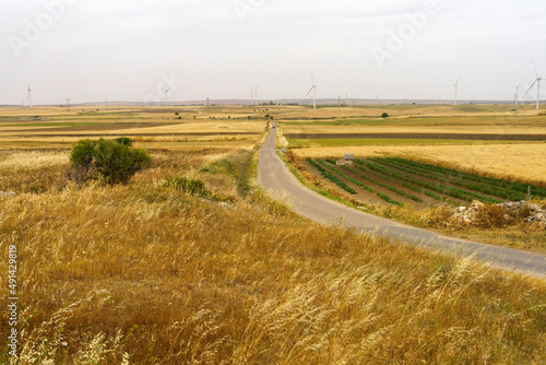Country landscape near Castellaneta and Matera  in Taranto province  Apulia