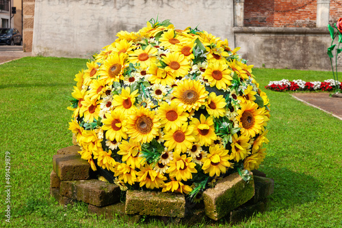 Cespuglio di girasoli