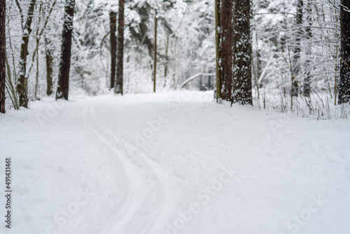 Ski track at winter forest. Snow covered trees © molenira