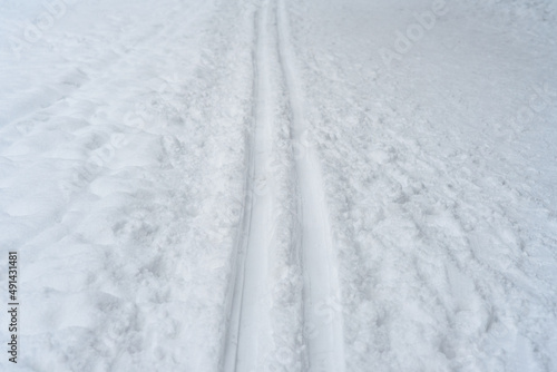 Ski track at winter forest. Snow covered trees © molenira