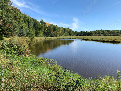 Wilderness Pond