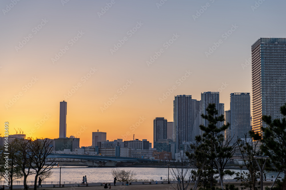 東京都江東区豊洲から見た夕方の都市景観