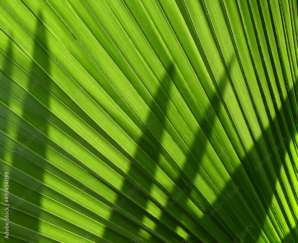 image to crop