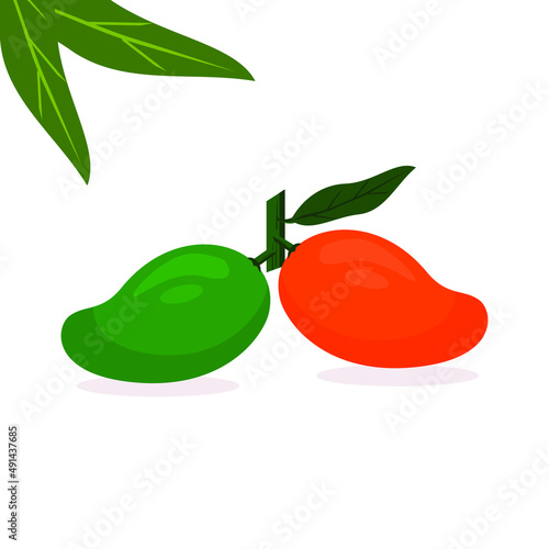 Green and orange mango fruit vector suitable for fruit theme design