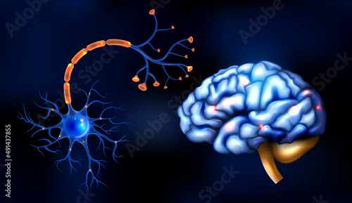 Realistic Brain Set
