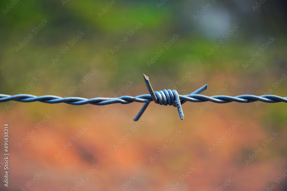 steel barbed wire blur background Copy space, concept, border, war, border, no poaching, unrest, terrorism
