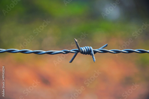 steel barbed wire blur background Copy space, concept, border, war, border, no poaching, unrest, terrorism