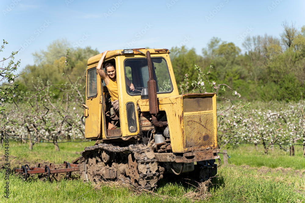 Old Tractor in the Field. Farmer in Old-fashioned tractor sowing crops at field. Woman driving small tractor in field and waving hand Old Tractor in the Field. Farmer in Old-fashioned tractor sowing crops at field. Woman driving small tractor in field and waving hand
