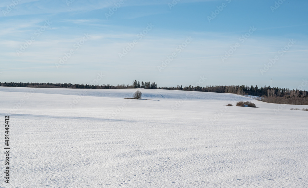 winter landscape with snow