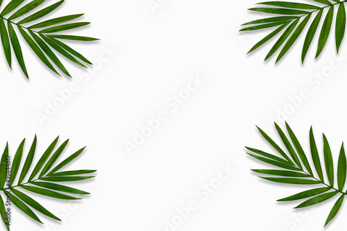 green palm leaf branches on white background. flat lay, top view