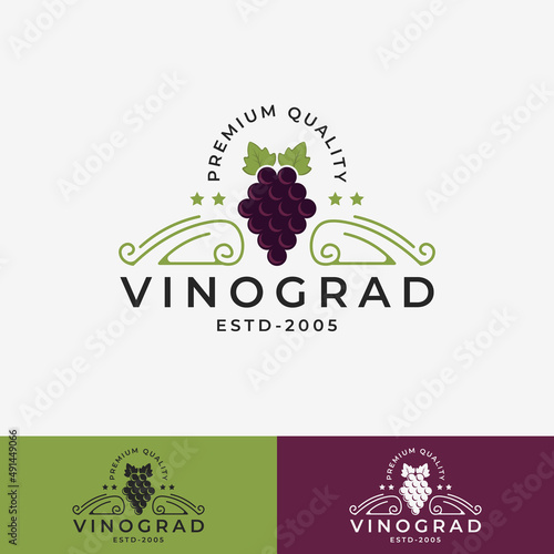 Grape Fruit Vintage Logo vector illustration design, suitable for Brand Identity, Business, Company, grape logo isolated