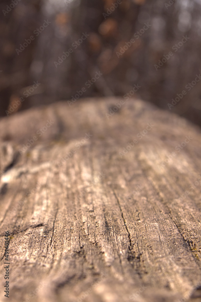 Macro view of a textured log.
