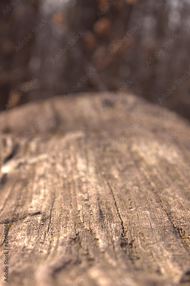 Macro view of a textured log. Macro view of a textured log.