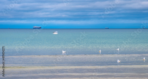 Panoramic winter view of Baltic sea with gulls on water and ships over maritime horizon offshore Gdynia Orlowo district of Tricity in Pomerania region of Poland