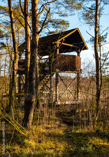 Observation platform in Bird Paradise - Ptasi Raj - wildlife reserve within forest thicket onshore Karas Lake on Wyspa Sobieszewska Island at Baltic sea near Gdansk in Poland photo