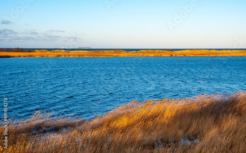 Bird Paradise lake - Ptasi Raj - lake wildlife reserve winter landscape with shore reed thicket on Wyspa Sobieszewska Island at Baltic sea near Gdansk in Poland photo