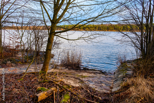 Forest and reed of Vistula river estuary to Baltic Sea shore aside Gull Sandbank - Mewia Lacha - wildlife reserve on Wyspa Sobieszewska Island near Gdansk in Poland