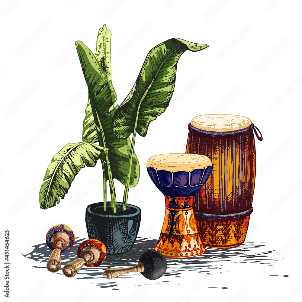 137_congas, darbuka_maracas_banana leaves_cannabis sativa, indica