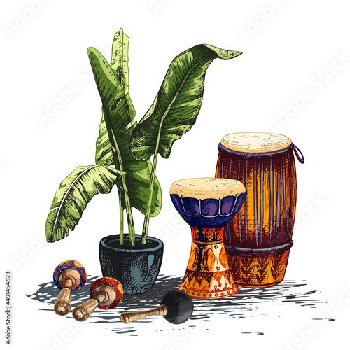 137_congas, darbuka_maracas_banana leaves_cannabis sativa, indica_congas high cuban drum, percussion instrument, traditional hand percussion, membranophone, darbuka, cuban drum, national symbol of egy photo