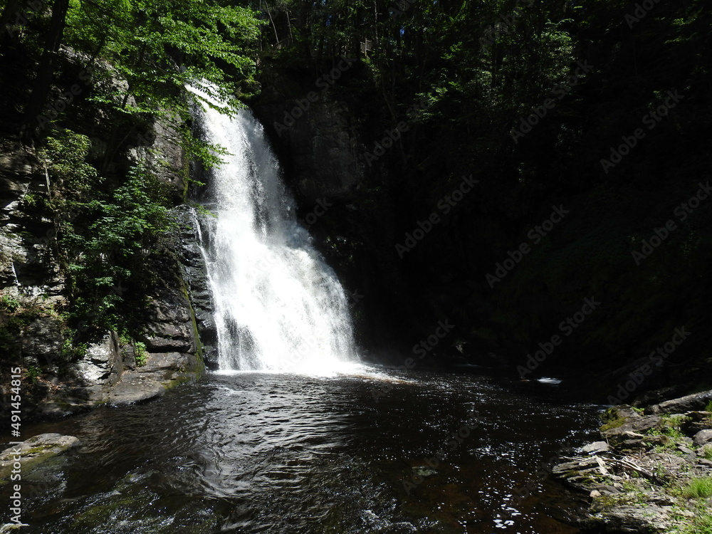 Fototapeta premium The beautiful Bushkill Falls located in the Pocono Mountains, Pike County, Pennsylvania.
