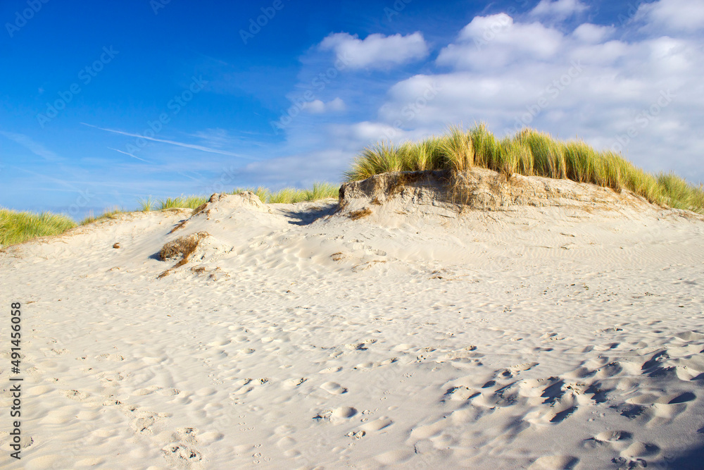 the dunes, Renesse, Zeeland, the Netherlands the dunes, Renesse, Zeeland, the Netherlands
