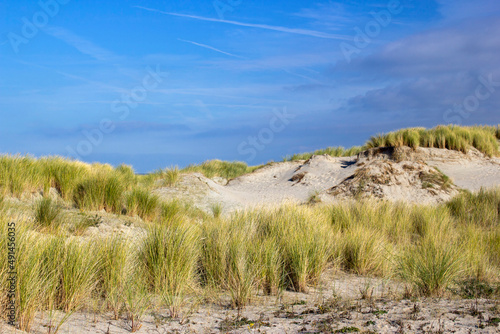 the dunes, Renesse, Zeeland, the Netherlands