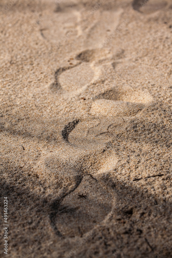 Footprints on the sand beach Footprints on the sand beach