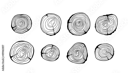 Wood tree rings. Set of cut tree trunk, log stump icon hand drawn wooden pine slice, timber texture. Vector illustration