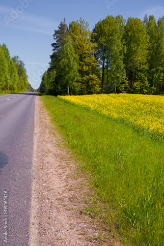 Beautiful spring landscape of rural area with asphalt road. Seasonal scenery of Northern Europe.