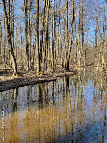 Krumme Lake, Grünau, Naturschutzgebiet, Berlin, Fließ, Wandern, Berlin, Wald, Kiefernwald, Nadelwald, Sumpfgebiet, Moorrinne, Urstromtal,  Feuchtgebiet, Schmöckwitz, Wanderweg, Rundweg