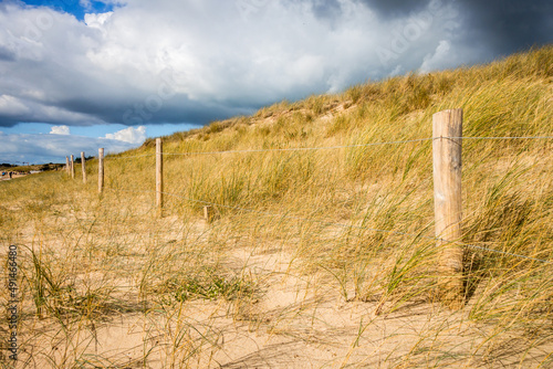 Sand dune and fence on a beach  Re Island  France