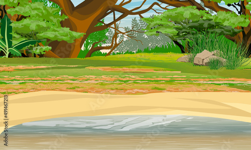 African bush on the shore of a lake with muddy dirty water. African savanna. Realistic vector landscape