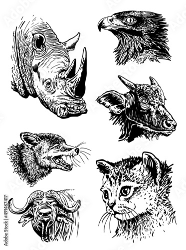 Vector collection of animals on white isolated graphical elements eagle bull fox cat.rhino