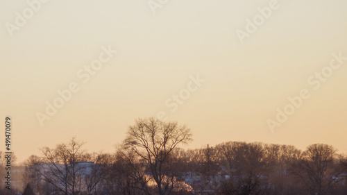trees and houses against the sunset sky