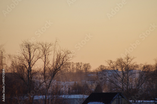 trees and houses against the sunset sky