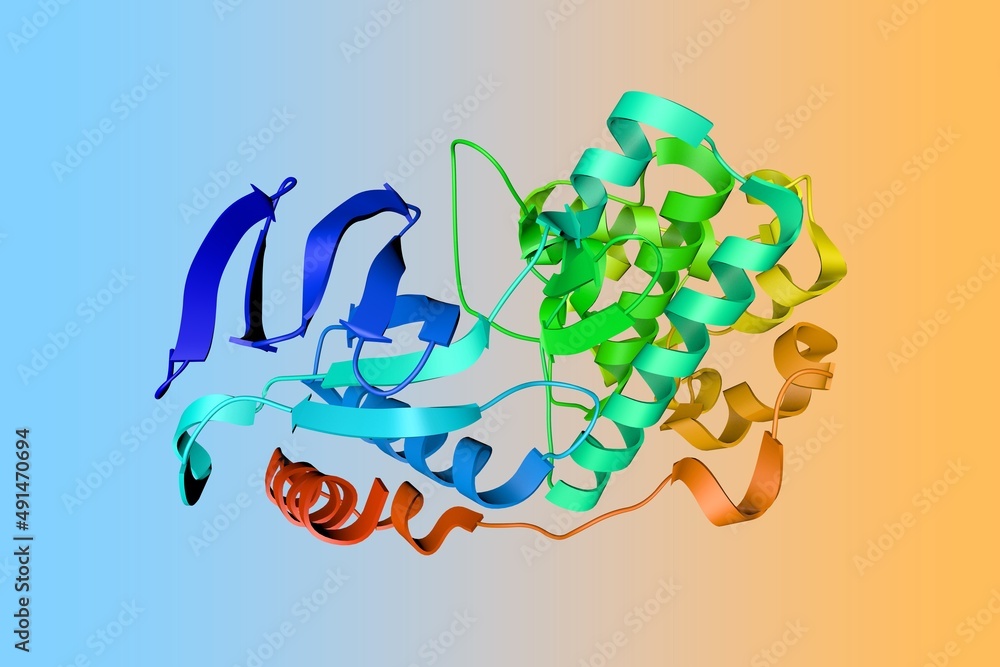 Crystal structure of human mitogen activated protein kinase 11(p38 beta ...