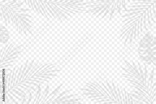 Exotic palm tree leaves on the transparent background. Editable vector illustration. EPS10.
