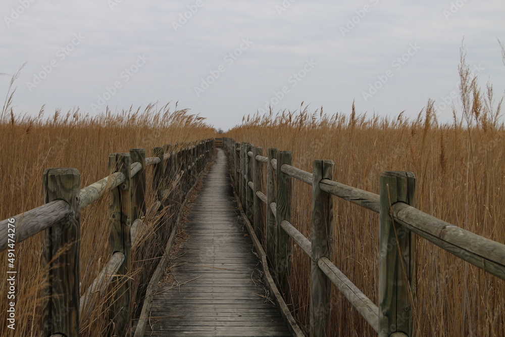 Fototapeta premium La Sansouïre du Pont de Rousty (Camargue)