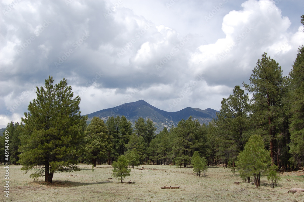 Scenic view of Mount Humphreys, a dormant volcano, in the Coconino National Forest, Flagstaff, Arizona.