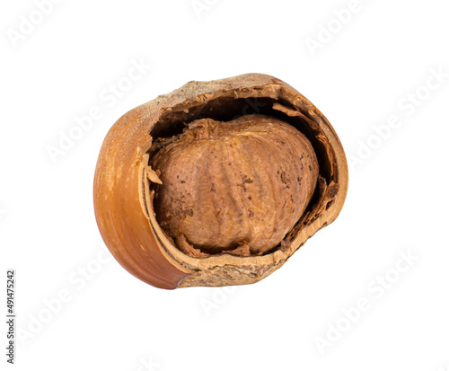 hazelnut, hazelnut partly shelled, isolated on white background