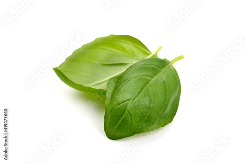 Organic basil leaves, isolated on white background.