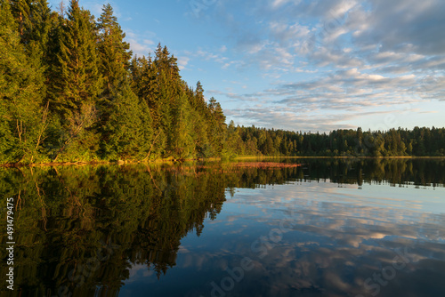 View of Lake Valdayskoye (Lake Valdai) and coniferous forest on the shore with reflection in the water on a sunny summer day, Novgorod region, Russia